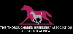 Bloodstock South Africa